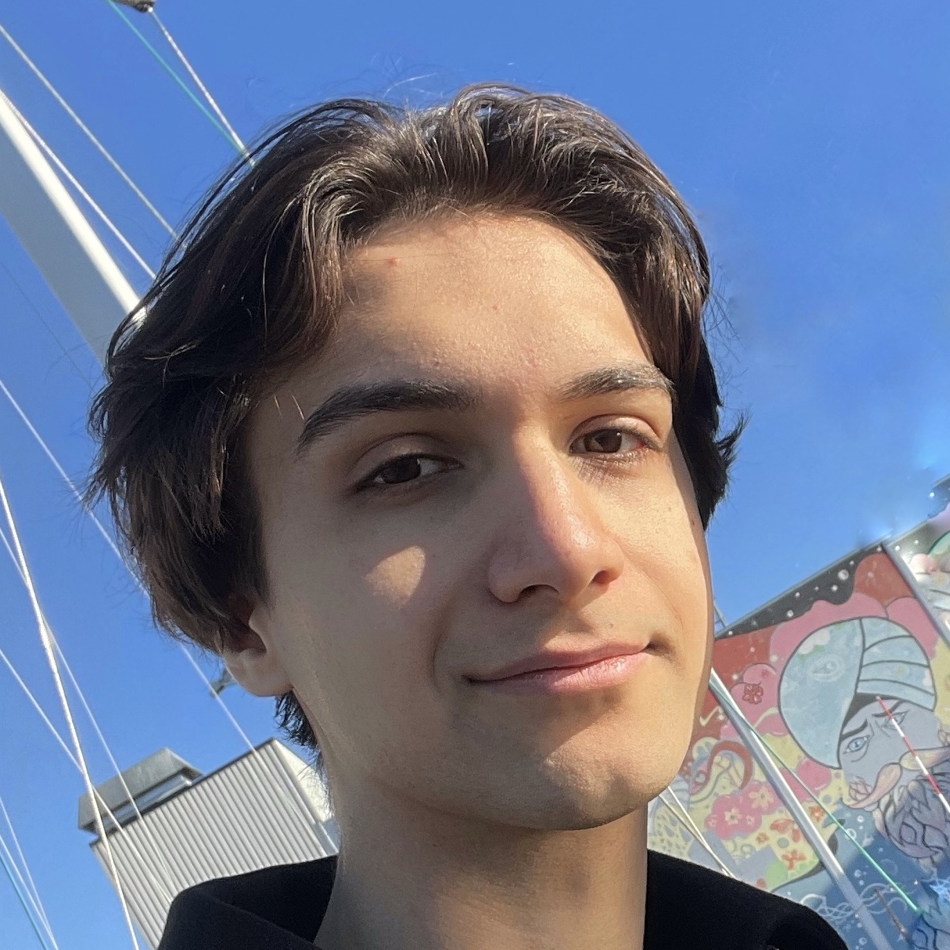 Volunteer picture
